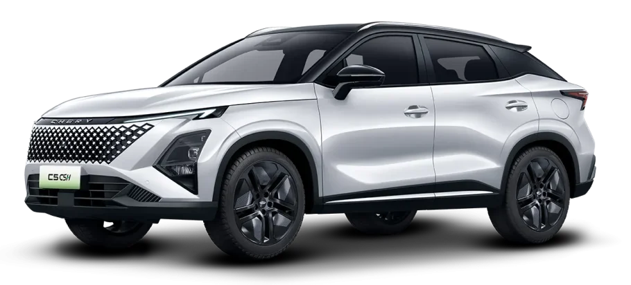 c5 csh car-white-howlite-two-tone